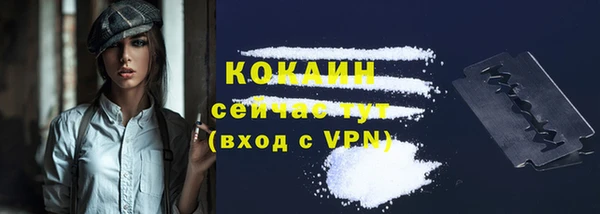 хмурый Зеленокумск