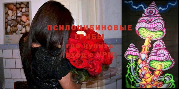 хмурый Зеленокумск