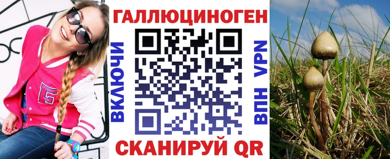 закладка  Избербаш  Галлюциногенные грибы мицелий 