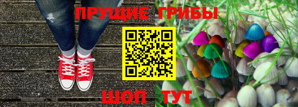 Галлюциногенные грибы Psilocybe  Вход с VPN  купить закладку  Избербаш 